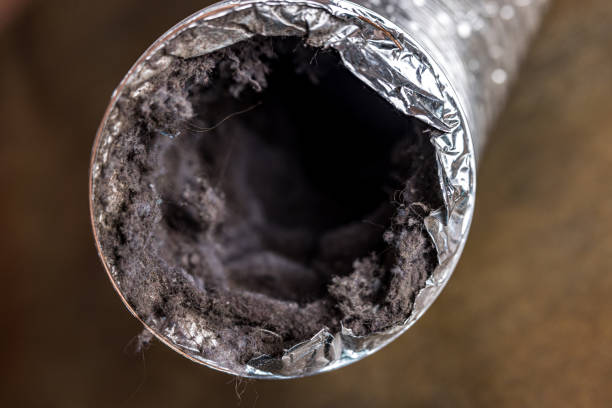 Ductwork Cleaning Services in University Of California Santa Barbara, CA